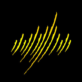 Wild Echoes Artist